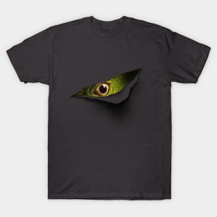 Peek-A-Boo T-Shirt